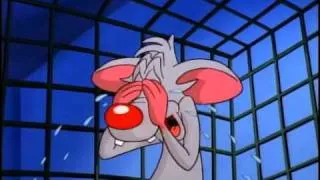 Pinky And The Brain - "Of Mouse And Man" Clip