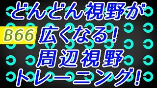 【Daily Eye Training】目指せアスリート！動体視力/周辺視野UP！vol.066