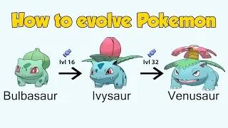 How To Evolve Pokémon - Generation 1 Kanto (Animated Sprites)