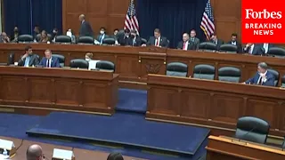 House Oversight Committee Holds A Hearing On Third-Party Litigation Funding