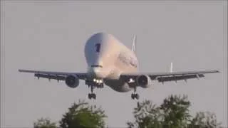 Airbus Beluga F-GSTA (Dolphin 1) Landing at Hawarden Airport Panasonic HC-V770 Test