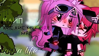 🎶Клип🎶//🐱Кис,кис,мяу,мяу🐱//🤍Артём Кей🤍// Gacha life