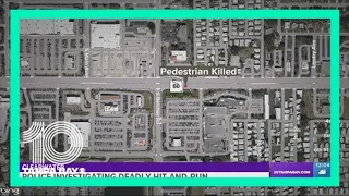 Clearwater police investigating deadly hit-and-run