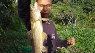 Encontramos ela com a perna quebrada #pescaria #viral #fishing