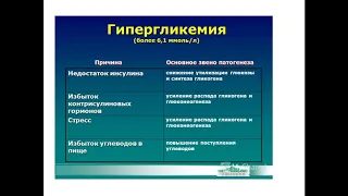 Синдромы гипо- и гипергликемии / Токтогулова Нургуль