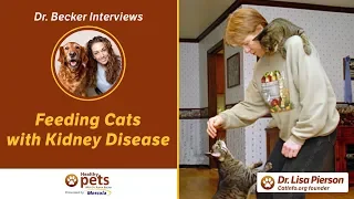 Dr  Becker Interviews Dr. Pierson About Feeding Cats with Kidney Disease