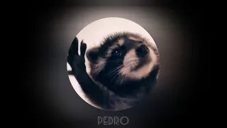 [Pop] – “ Pedro ” By Raffaella Carrà | Remix | Jaxomy & Agatino Romero (Tik Tok Meme)