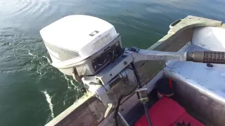 9.9 HP Evinrude lake test after carburetor cleaning and impeller replacement.