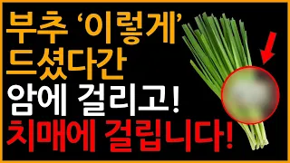 부추 절대로 이렇게 드시지마세요! 암과 치매에 걸릴 수 있습니다! (부추 최악의 궁합 3가지와 최고의 궁합 3가지 / 몸 독소 빼주고 보약만큼 좋은 최고의 레시피까지)