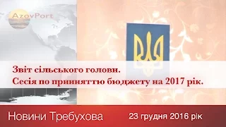 Звіт сільського голови  Сесія по прийняттю бюджету на 2017 рік