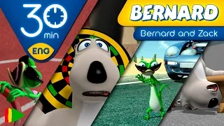 Bernard Bear | Bernard and Zack's Adventures | 30 minutes