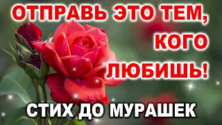 🌷ШИКАРНЫЙ СТИХ! ПОЖЕЛАНИЕ🌷 С Добрым Утром! Доброе утречко хорошего дня!