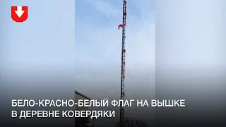 Бело-красно-белый флаг повесили на вышку в деревне Ковердяки