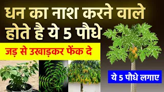 ये है धन का नाश करने वाले 5 पेड़ पौधे, इन्हे तुरंत उखाड़कर फेंक दे | Vastu tips