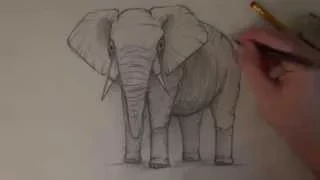 Как нарисовать слона / How to draw elephant