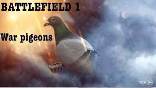 battlefield 1 war pigeons gameplay & reactions!| battlefield 1 pigeon mode