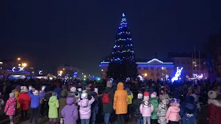 На Центральной площади Берёзы зажгли главную новогоднюю ёлку района