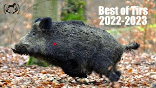 BEST OF BOAR SHOTS 2022-2023 - DexterProd@