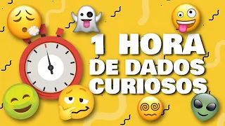 1 HORA DE DADOS CURIOSOS!  (Fatos Insanos)