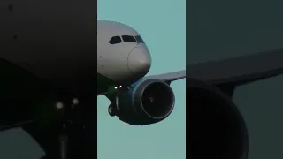 BOEING 787-8 DREAMLINER UZBEKISTAN AIRWAYS