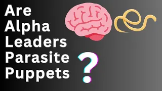 Is A Brain Parasite A King Maker?