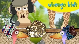 Learn Swahili with Ubongo Kids! - Educational songs in English and Kiswahili