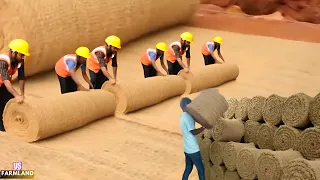 Fiber Production Process of rope from fibers at the factory