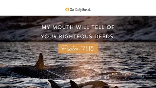 Granny Whale | Audio Reading | Our Daily Bread Devotional | December 23, 2022