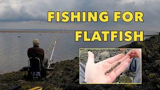 Shore Fishing for Flatfish, Mostyn, North Wales UK Sea Fishing