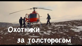 Охотники за толсторогом. Плато Путорана. Сибирь / Bighorn Sheep Hunters  / Siberia