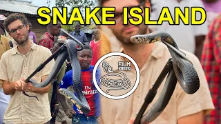 Snake island with deadly venomous cobras, big Forest cobra, herping Africa