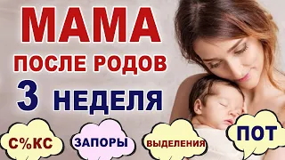 Что происходит и что нужно женщине на 3 неделе после родов? Выделения, ощущения, опасности.