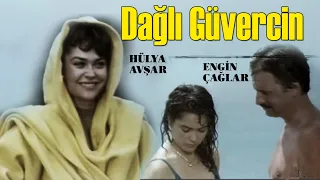 Dağlı Güvercin Türk Filmi | FULL | Restorasyonlu | HÜLYA AVŞAR