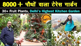 छत पर लगाए 8000+ प्लांट्स 😍 30+ Fruit plants, Highest Kitchen Garden🥦 Unique Farming