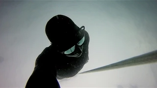 GoPro Hero4 Black Edition - Freediving by Andreas Sundqvist