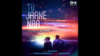 TU JAANE NA SONG||Lofi+ Mix||mix by DJ RINK||abhi_editor |#song #slowedandreverb #lofimusic #lofi