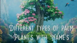 Different types of palm Plant's with Name's...