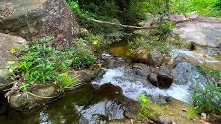 10 o'clock - Gentle rivers, mountains, waterfalls. Relaxing nature sounds. White noise for sleep