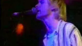 Nirvana - Pennyroyal Tea