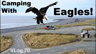 ON THE BEACH WITH EAGLES / RV Adventure /ALASKA 2023 / Travel Tips / RVing to Alaska / RV Fulltime