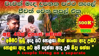 අවු 45ක් කාත් කවුරුත් නැති දූපතක පට්ට කැලේ ජීවත් වෙන කපල් එක | survival couple | Anuradhapura