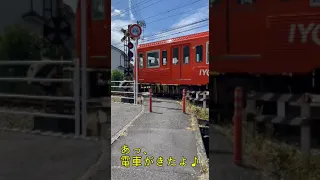 【踏切動画1】何が通るかな？ #伊予鉄道 #伊予鉄 #いよてつ #何が通るかな