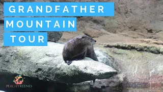 Grandfather Mountain Tour