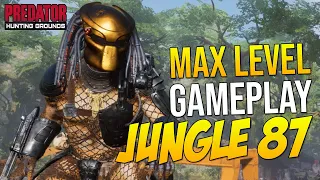 Predator Hunting Grounds Max Level Predator Gameplay "JUNGLE HUNTER 87 CLASS & SO MANY BUGS!"