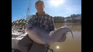 Trolling for Blue Catfish