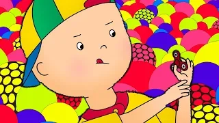 Caillou en Español | Caillou y el Nuevo Juguete | Dibujos animados para niños | Dibujos Infantiles