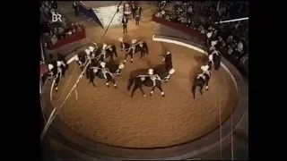 Circus Krone - Liberty Horses 1969