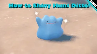 How to Hunt & Fail Shiny Ditto! (Pokémon Scarlet & Violet)