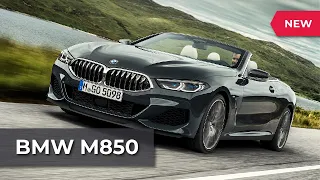 Тест-Драйв BMW M850 Кабриолет на Ралли! BMW M850i Convertible