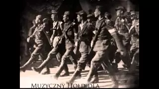 Tadeusz Sikora - Żołnierzom NSZ